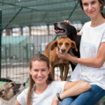 Hundepension Berlin – Vertrauensvoll, Sicher & Preiswert